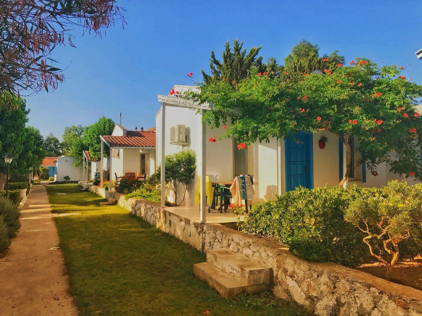 Teos Ormanci Tatil Koyu Hotel Seferihisar Eksteriør billede